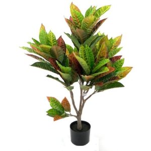 Pianta di Croton ornamentale 110 cm. 97 foglie