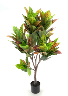 Pianta di Croton ornamentale 120 cm. 134 foglie Pianta di Croton ornamentale 120 cm. 134 foglie