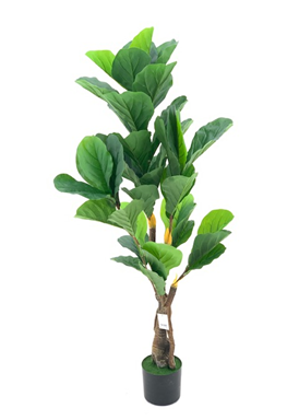 Pianta ornamentale Ficus Pandurata 125 cm. 43 foglie con vaso Pianta ornamentale Ficus Pandurata 125 cm. 43 foglie con vaso