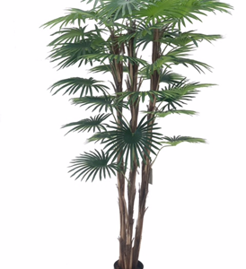 Pianta ornamentale Palma Camerux 140 cm. con vaso