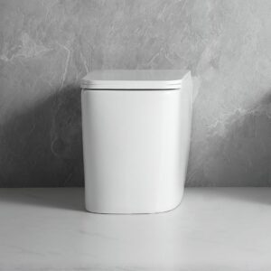 WC filo muro FT54D a pavimento in ceramica bianco 54x36x41.5H cm.